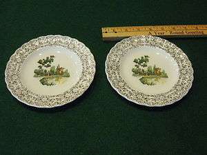 AMERICAN LIMOGES CHINA CHATEAU FRANCE PATTERN PR BREAD PLATES  