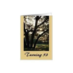  Turning 53, birthday, tree in sunrise Card Toys & Games