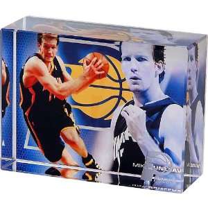  NBA Indiana Pacers Mike Dunleavy Action Image Block 
