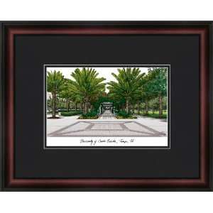  Campus Images FL989A University of South Florida Academic 