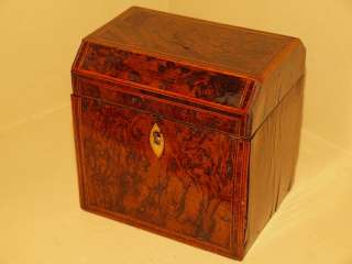   American Georgian Inlaid Satinwood Mahogany Trinket Box Tea Caddy