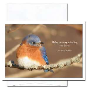  Bluebird   New Year Holiday Cards, Box of 10 cards and 