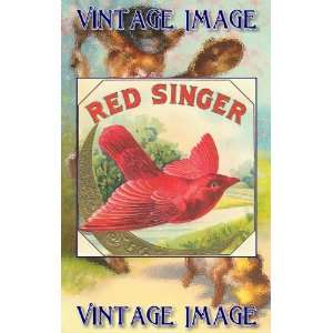   ) Acrylic Fridge Magnet Bird Red Singer Vintage Image