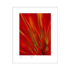  Flexi Grass, Bright Green On R Poster Print