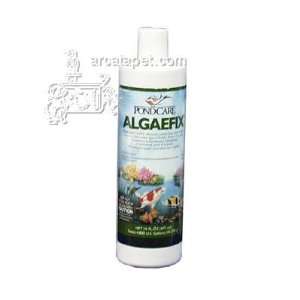   AlgaeFix for controlling Algae in Ponds 16 oz