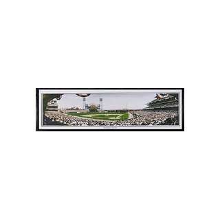   at PacBell Stadium Framed Panoramic Licensed Stad