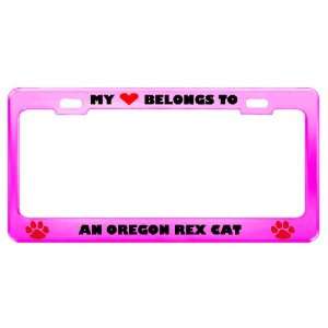  An Oregon Rex Cat Pet Pink Metal License Plate Frame Tag 