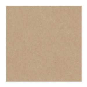   Wallcoverings PX8904 Color Expressions Texture Wallpaper, Coffee/Cream