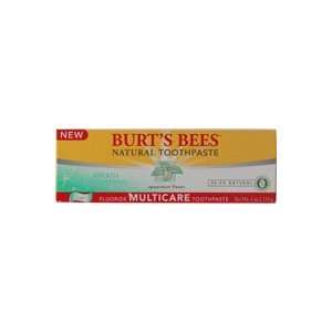  Burts Bees Natural Toothpaste Spearmint    4 oz Health 