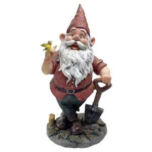  Gnome Spader And Birdy