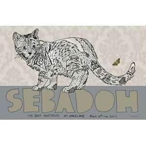  Sebadoh   Posters   Limited Concert Promo