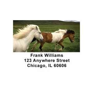  Horses Checks Address Labels