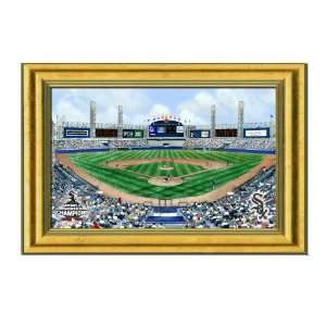   White Sox U.S. Cellular Field Stadium Large Picture