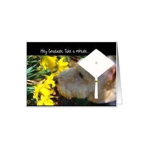  Graduation, Terrier Sniffs the Daffodils Card Health 