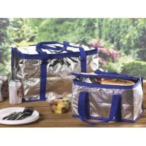 Insulated Lunch Tote Picnic Cooler Bag Large  Sports 