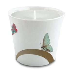  Raynaud Metamorphoses Candle Pot 3 in