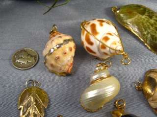 Vtg Pendant Lot Natural Shells Gold Dipped X 9 Awesome  