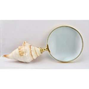 Conch shell magnifying glass paper knife letter opener