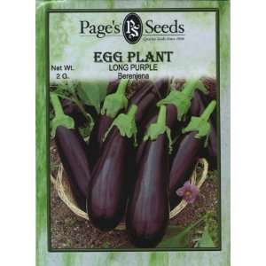  Eggplant Long Purple Patio, Lawn & Garden