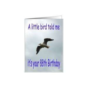  Happy 88th Birthday Flying Seagull bird Card Toys & Games