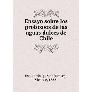   las aguas dulces de Chile, Vicente Esquierdo [y] S[anfuentes] Books