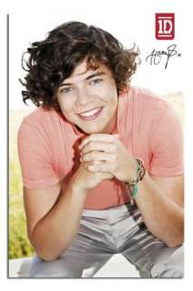   Harry Styles Large Official New Wall Poster   Free UK Delivery  