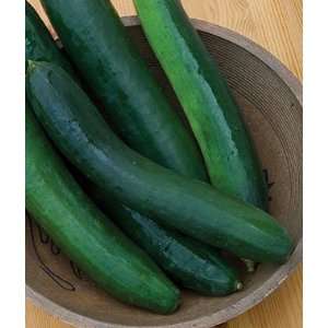   Cucumber, Sweet Success Hybrid 1 Pkt. (30 seeds) Patio, Lawn & Garden