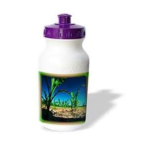   Nature Themes   Growing Cornfield   Water Bottles