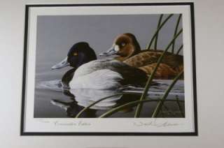   NEAL ANDERSON Lesser Scaup Conservation Edition Stamp Print  