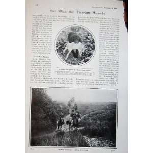   1908 Tiverton Hounds Hunting Mackworth Whitworth Misa