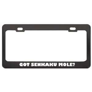 Got Senkaku Mole? Animals Pets Black Metal License Plate Frame Holder 