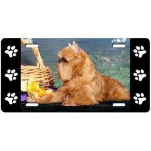  Brussels Griffon License Plate