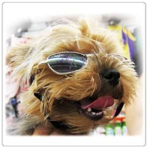   Dog Sunglasses For Small Size Dogs Only   UV protection