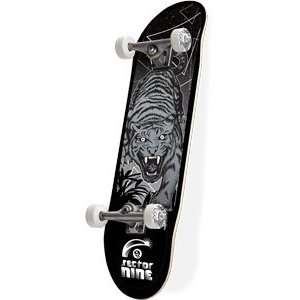  SECTOR 9 BENGAL COMPLETE  7.75x31.5 deep end Sports 