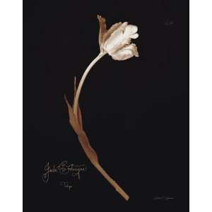 Natasha Dschommer   Tulip 22 Canvas 