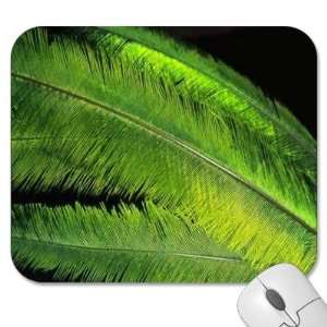  Mouse Pads   Texture   Feather/Feathers (MPTX 150)