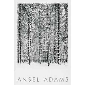  Ansel Adams   Pine Forest in Snow   Yosemite Embossed 