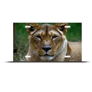  Lioness Lion Tiger Novelty Airbrushed Metal License Plate 