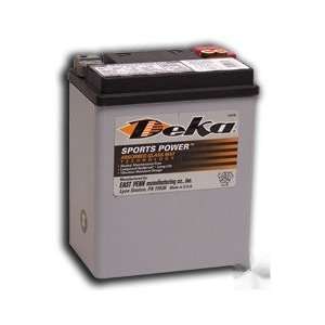  Deka ETX15 Powersports AGM Battery   100% NEW Automotive
