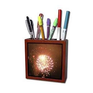  Patricia Sanders Photography   Orange Fireworks 4th of 
