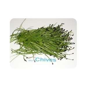 Micro Greens   Chives   4 x 8 oz  Grocery & Gourmet Food