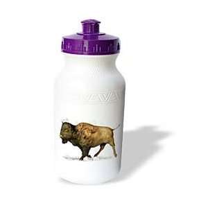   Paint Animal   Running Buffalo   Water Bottles