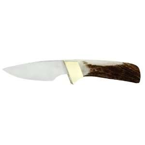 Schrade 156ST Lil Finger Knife with Fixed Drop Point Blade, Stag 