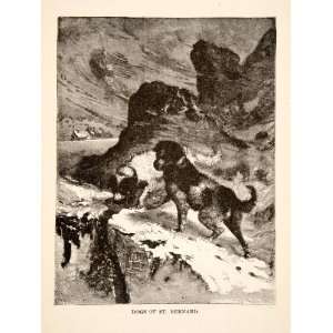  1881 Wood Engraving Saint Bernard Dog Mountain Landscape 