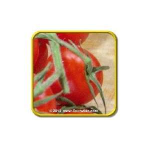  Riesentraube   Heirloom Tomato Seeds   Jumbo Seed Packet 