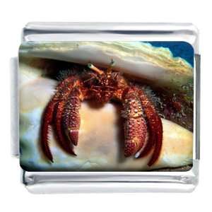  Red Hermit Crab Italian Charms Pugster Jewelry