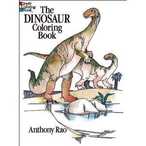    Dover Publications Dinosaur Coloring Book (DOV 24022) Toys & Games