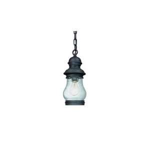  Hyannis Port Collection 12 1/2 High Outdoor Hanging Light 