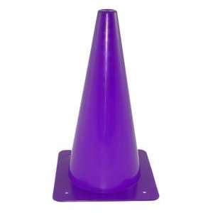  9 Colored Poly Cone Purple