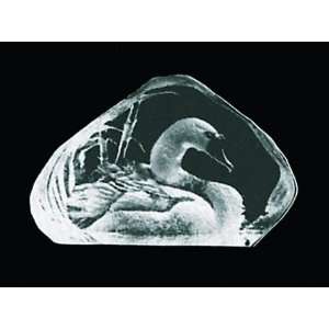   Mini Swan Etched Crystal Sculpture by Mats Jonasson